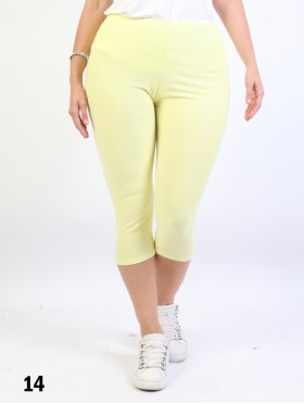 Plus Size Basic Stretchy Capri Leggings